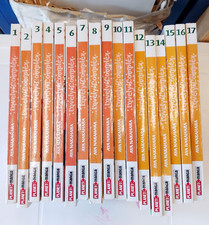 LOVELY COMPLEX - SERIE