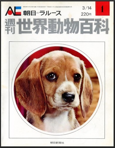 Animal world encyclopedia - world,