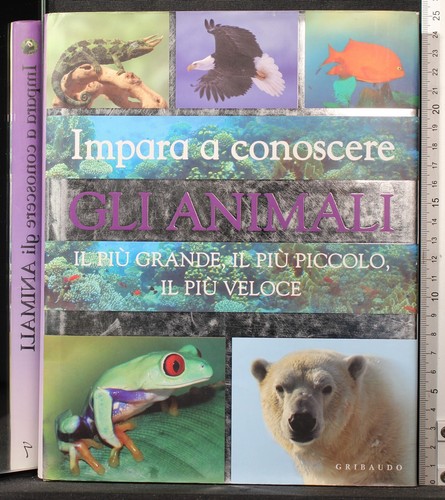 Impara conoscere gli - a,
