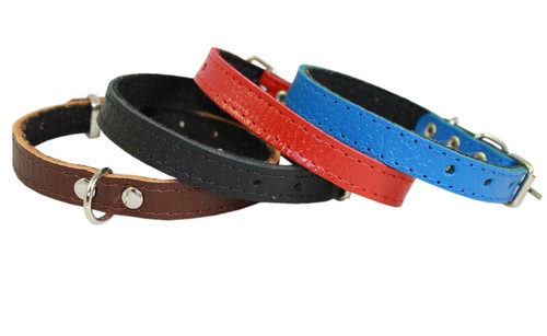 Collare vera pelle per - collare,