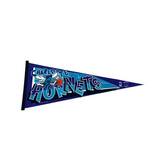 Vintage 1995 charlotte hornets - vintage,