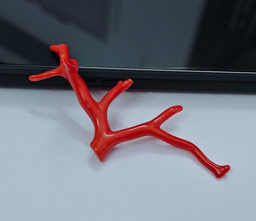 Corallo rosso naturale ramo
