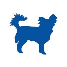 Long Haired Chihuahua Sticker