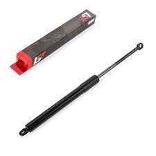 Gas Ammortizzatori Hood