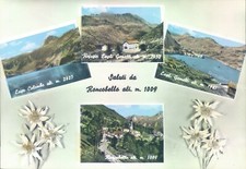 q129 cartolina saluti da roncobello bergamo provincia di bergamo