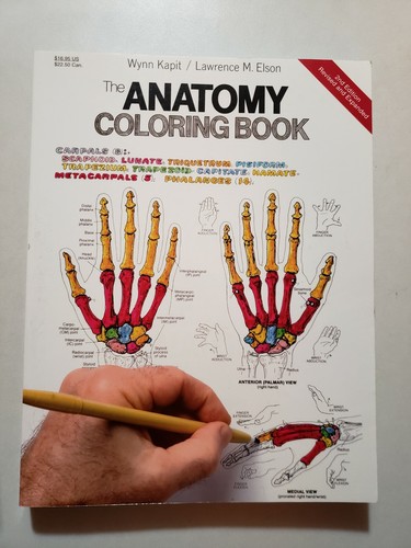 The anatomy coloring - the,