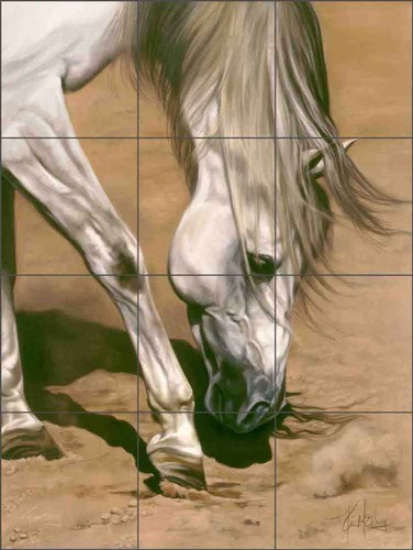 Paraspruzzi piastrelle cavallo