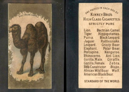 1890 n216 kinney bros animals - bros.,