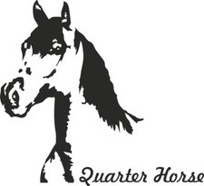 Adesivo per auto " QUARTER