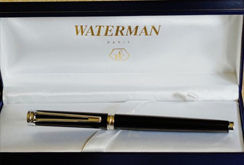 Penna stilografica waterman - penna,