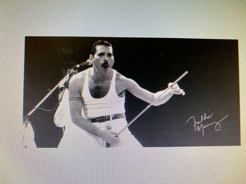 Poster freddy mercury 12x24 - freddy,