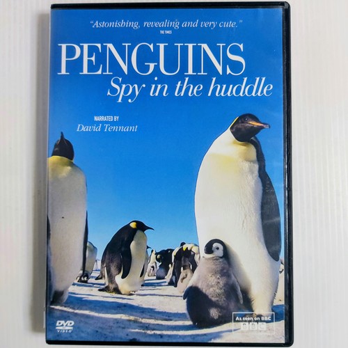 Penguins spy the huddle - in,