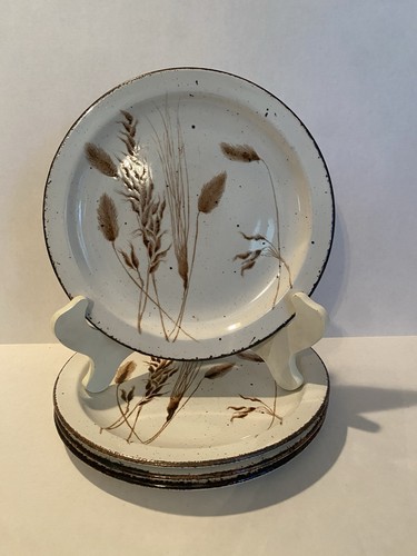 Midwinter wild oats - wild,