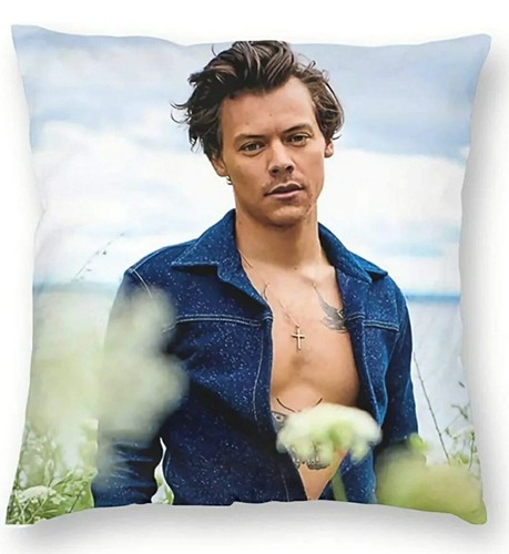 Copricuscini harry styles - copricuscini,
