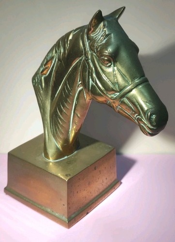 Brass stallions head - brass,