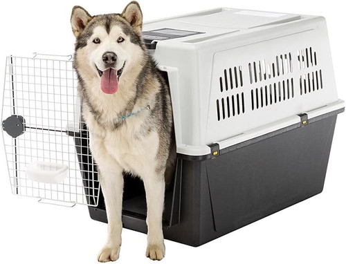 Trasportino per Cani Di Taglia