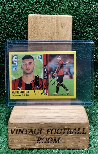 Figurina calciatori panini - figurina,