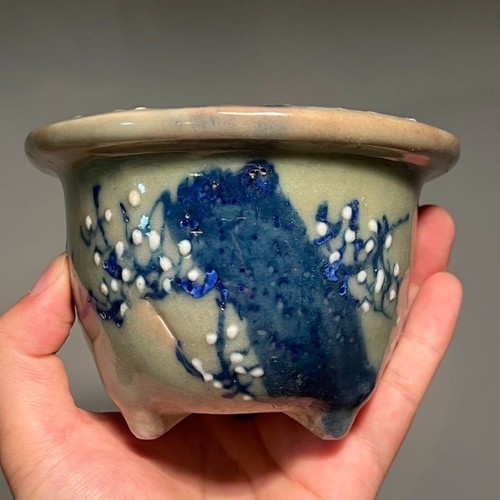 Vaso per bonsai giapponese