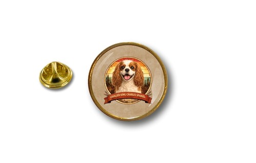 Spilla pin badge - pin,