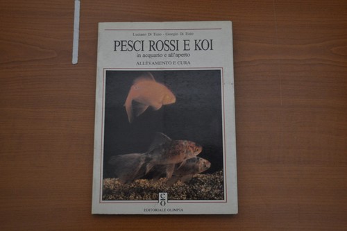 Tizio pesci rossi koi in - tizio,