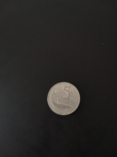 Moneta lire del 1955 - 5,