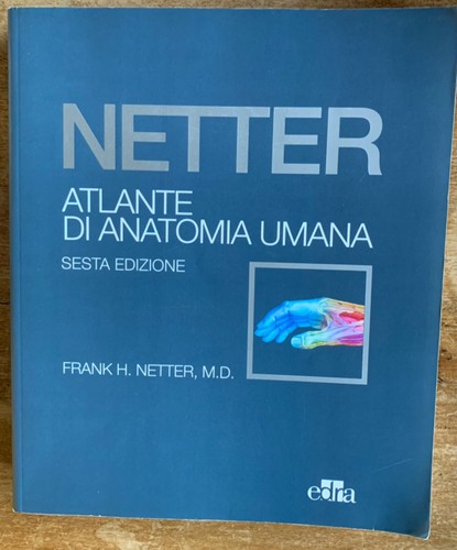 Netter atlante anatomia - netter., di
