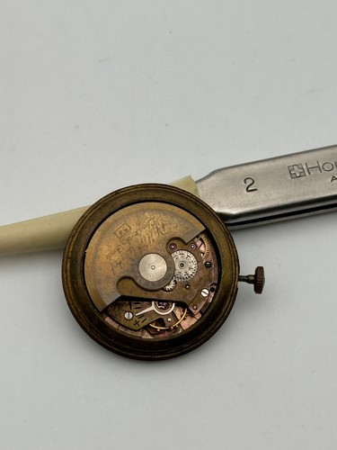 Philip watch automatic - philip,