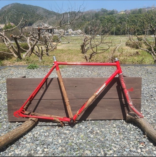 Telaio bici turismo vintage