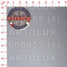 E8855 PIN SPILLA BROCHE OLTRE