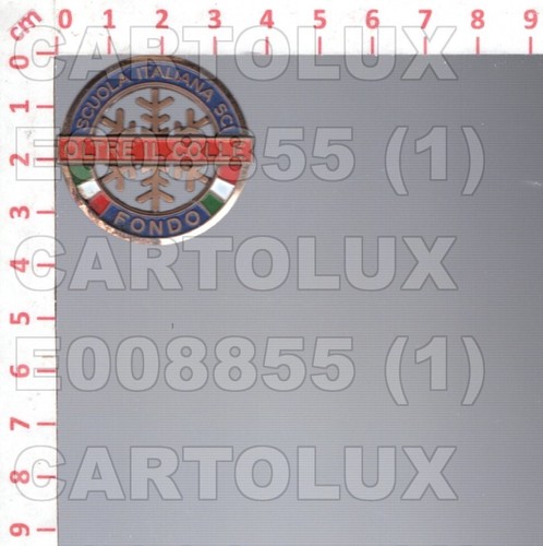 E8855 pin spilla broche oltre - spilla,