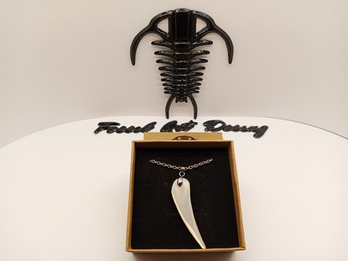 Fossil shell pendente - fossil,