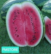 50 SEMI DI ANGURIA CRIMSON