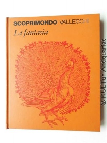 Scoprimondo la fantasia - scoprimondo,