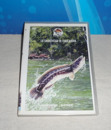 Dvd serie big fish - big,