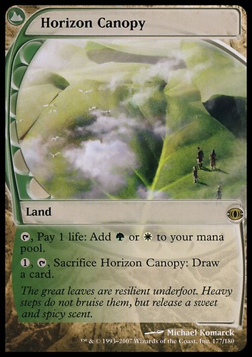 Mtg horizon canopy - horizon,