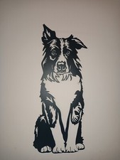 Cane Border Collie nero su