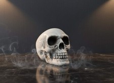 Teschio Decorativo in Plastica