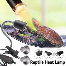Lampada termica rettile