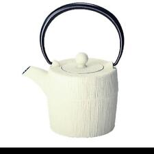 TEIERA NANBU TEKKI (TETUBIN)