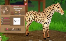 Wild Horse Islands - Giaguaro