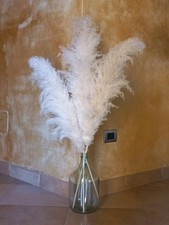 Vaso Anfora In Vetro Con 03