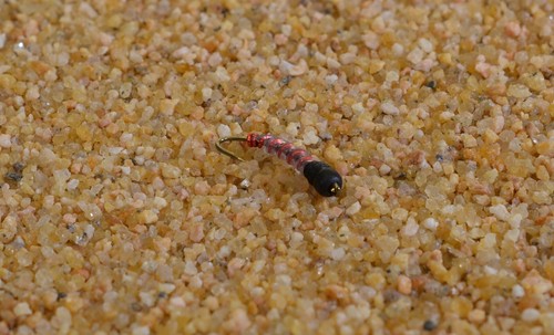 Tubo rosso tungsteno - , midge
