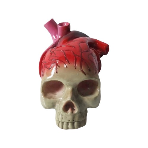 Teschio cuore decorazione - cuore, da