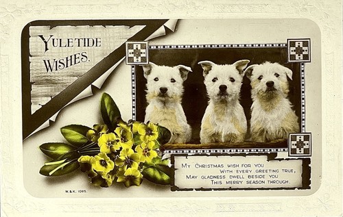 Cartolina epoca west - cartolina, d'epoca