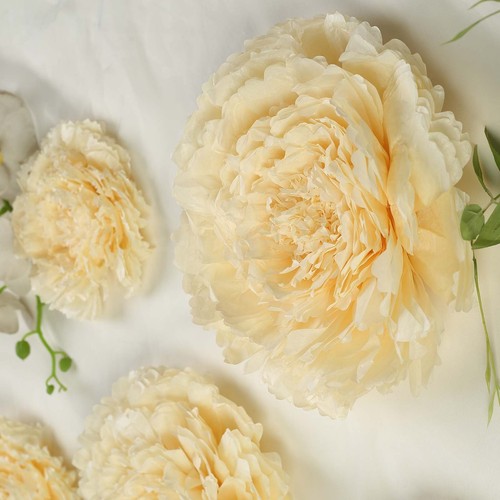 Confezione carta fazzoletto - 12,