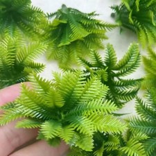 Miniature Palm Plant Bush