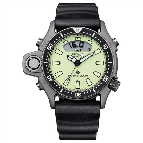 Citizen promaster diver - promaster,