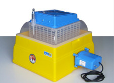 Incubatrice Analogica