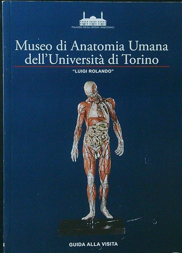 Museo anatomia umana - museo,