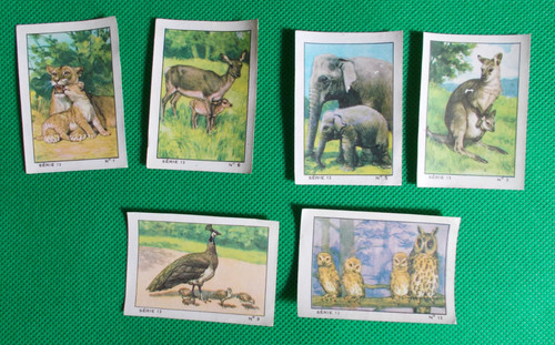 Lot images album nestlé - album,